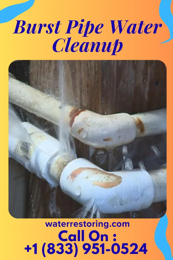Burst Pipe Water Cleanup in Bald Knob, AR