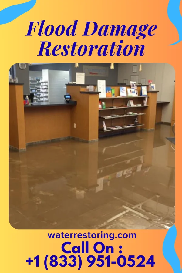 Flood Damage Restoration in Bald Knob, AR