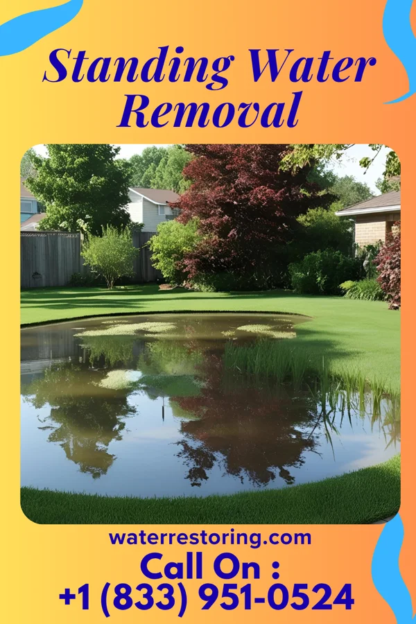 Standing Water Removal in Bald Knob, AR